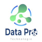 Logo_PNG_Data_Pro